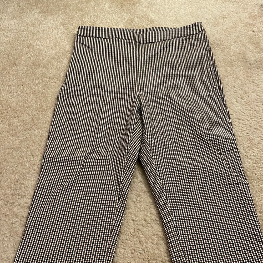 size large dress pants